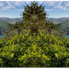 ATLANTIS - Aluminum Landscape Premium Print (20x60|30x90)