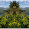 ATLANTIS - Aluminum Landscape Premium Print (20x60|30x90)
